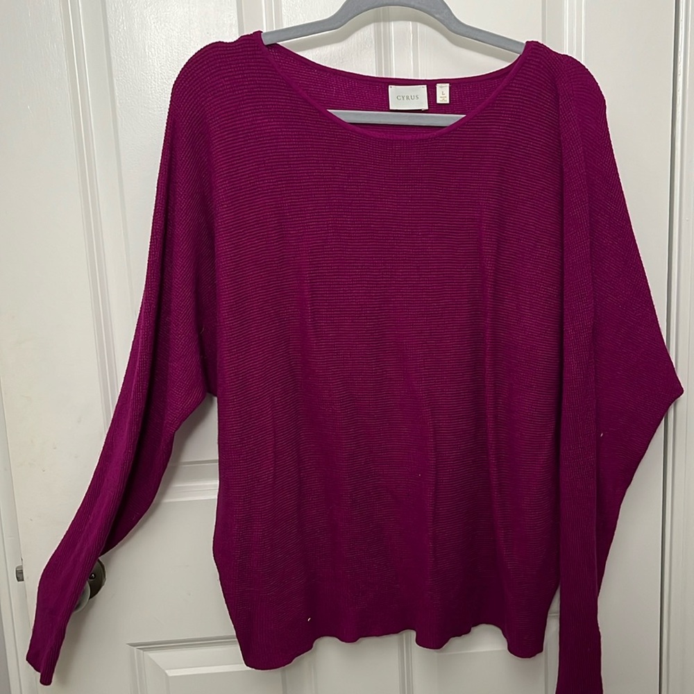 Women’s Cyrus Batwing Sweater - Large, Dark Pink